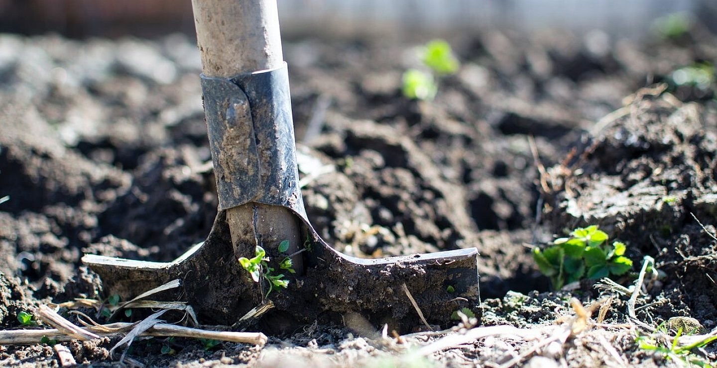 Digging Dirt Cropped